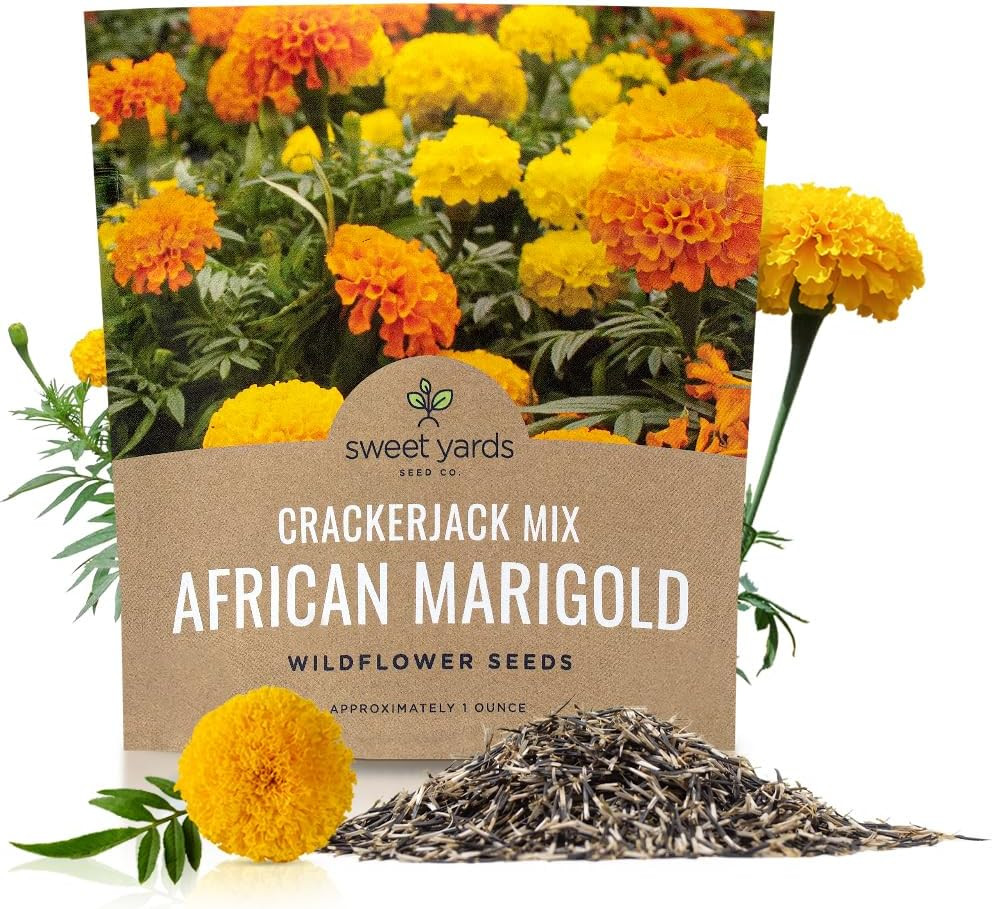 African Marigold Seeds Mix Crackerjack Mix – Bulk 1 Ounce Packet – over 10,000 S