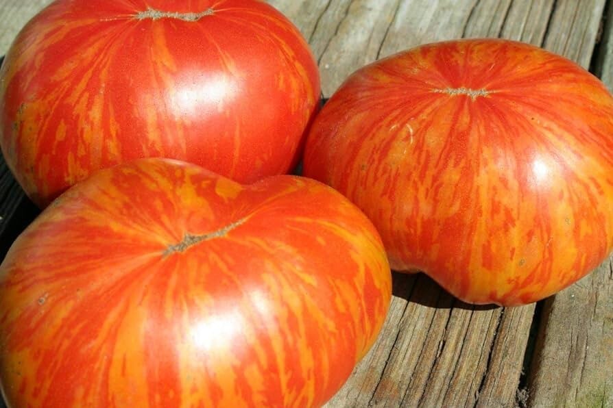 45 Organic Non-Gmo Red Zebra Tomato Seeds- Seeds Of Tomorrow