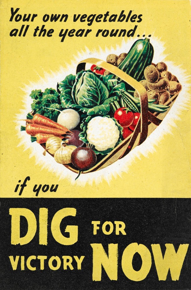 NON-GMO Vegetable Seeds 21 Varieties Garden Emergency Survival Heirloom Seed Kit
