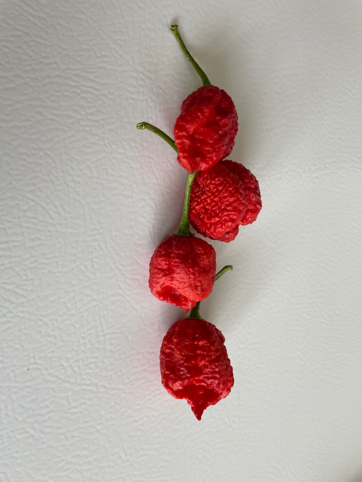 50+ Red Carolina Reaper Chili Pepper Seeds World Record Hot Peppers
