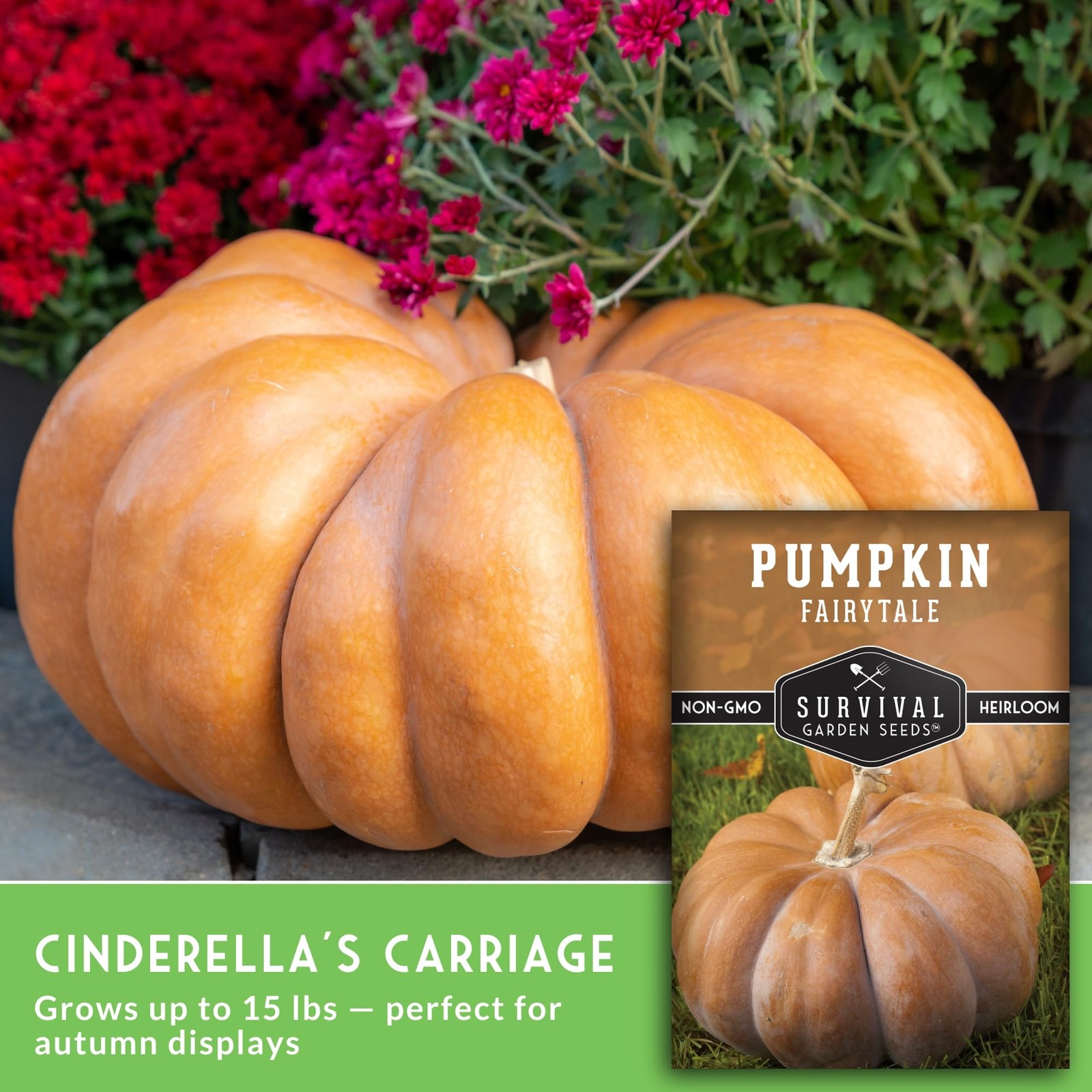 Fairytale Pumpkin Seeds for Planting | Musquée de Provence Heirloom Orange