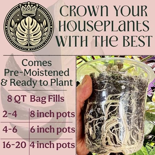 Organic Potting Mix for Indoor Plants – Well-Draining Soil, Chunky & Peat-Free,