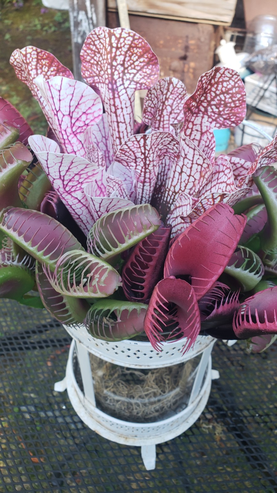 🔥 Carnivorous Plant Floral Picks! Faux Venus Flytrap Sarracenia Poseable Decor!