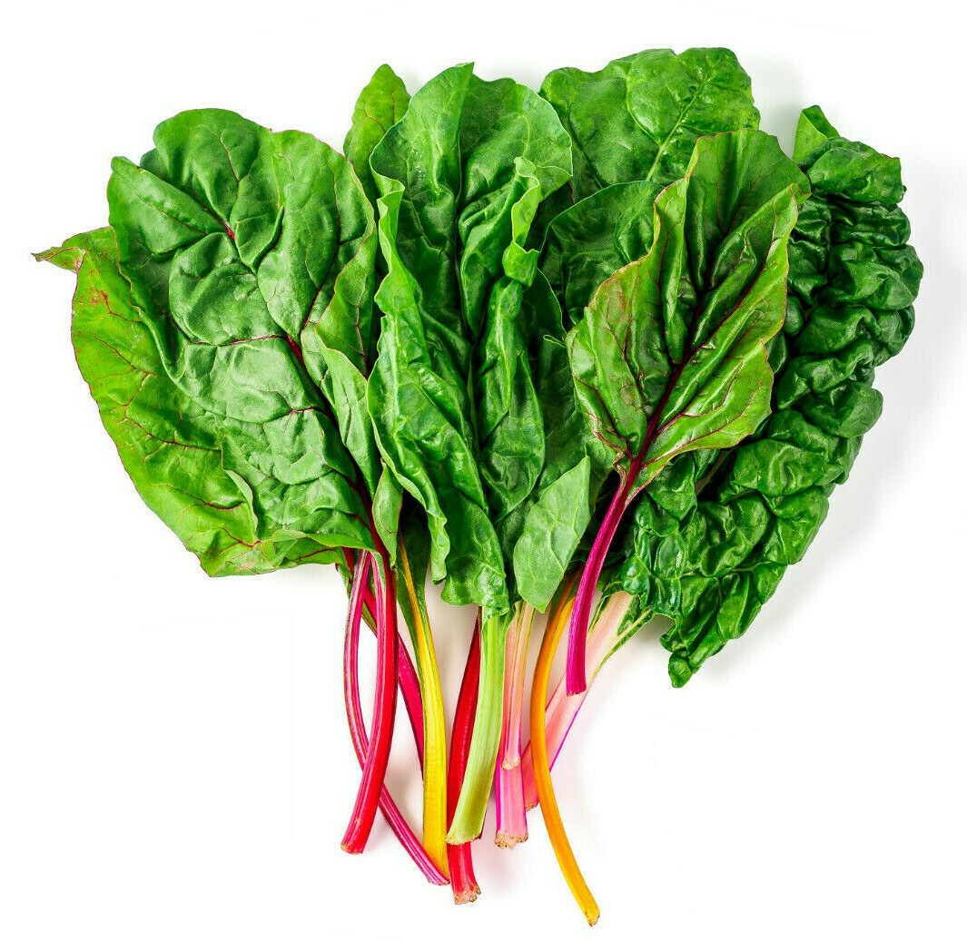 100 Rainbow Swiss Chard Non-GMO Heirloom Vegetable Seeds | Garden or Microgreens