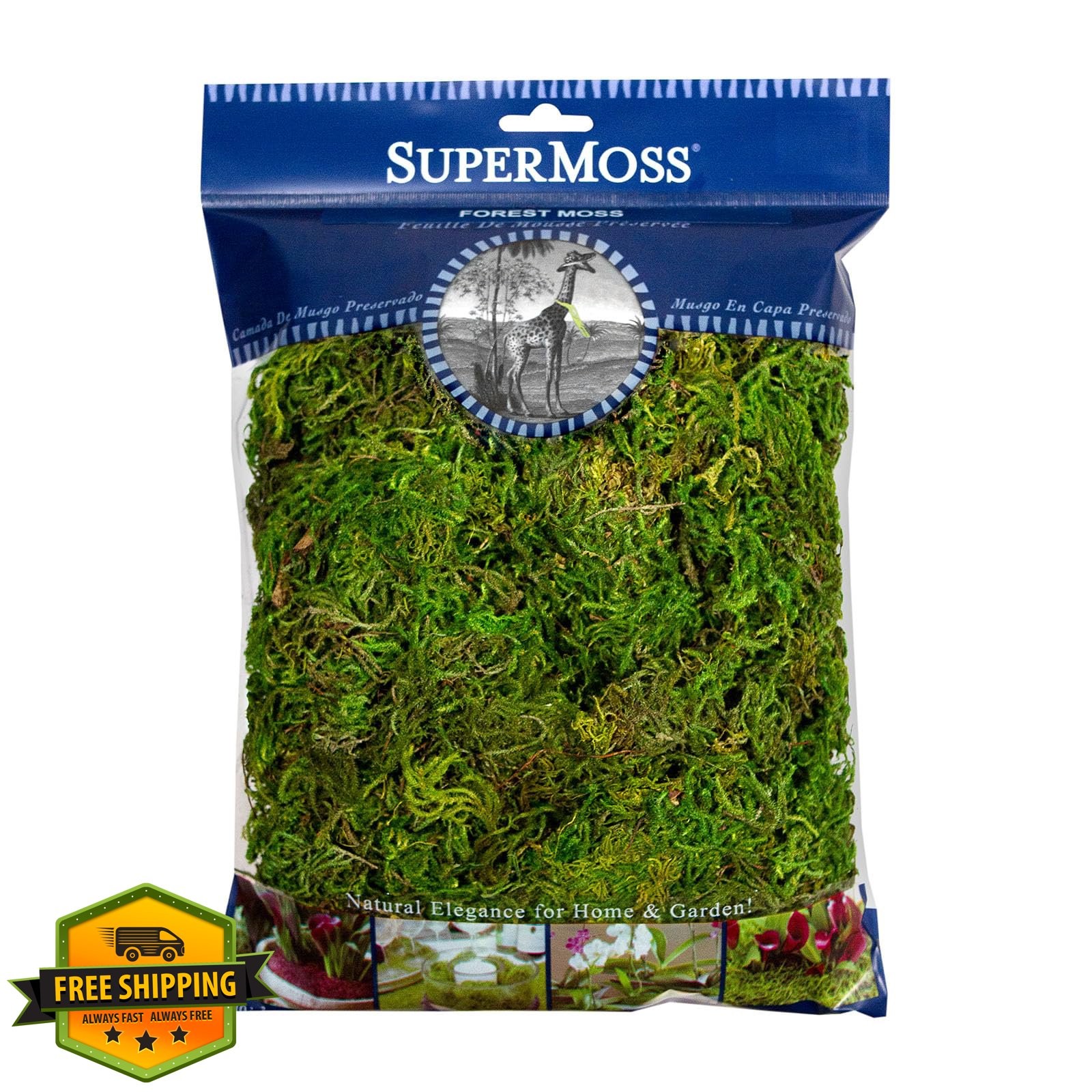 SuperMoss Forest Moss Preserved Green 120 cu in