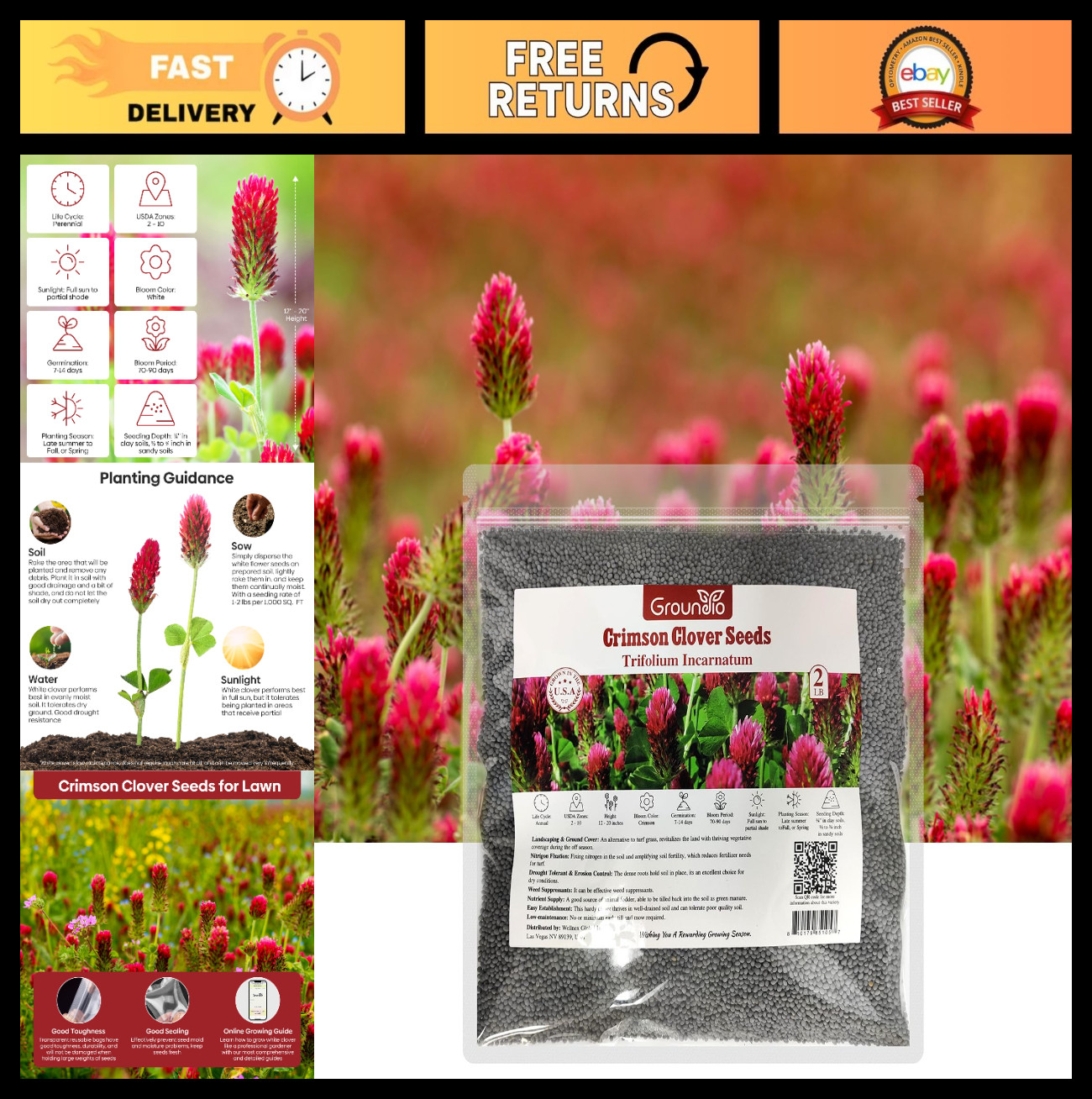 Crimson Clover Seeds 2 lbs – Nitrocoated, Inoculated, Attracts Pollinators, Gard