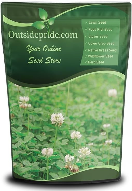 Attractive 2 lbs White Dutch Clover Seed for Lawn Alternatives & Ground Cover
