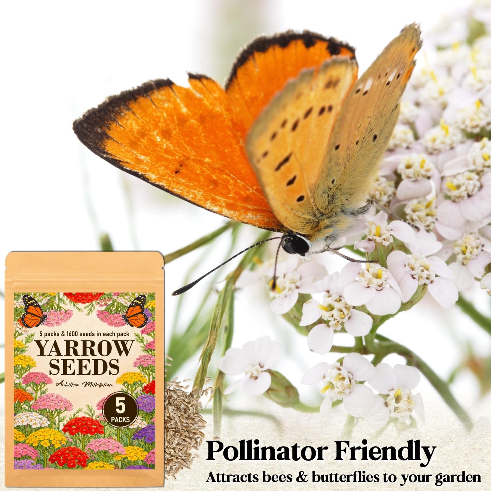 8000+ Yarrow Seeds for Planting 5 Packs Colors Mixed, Achillea Millefolium P…