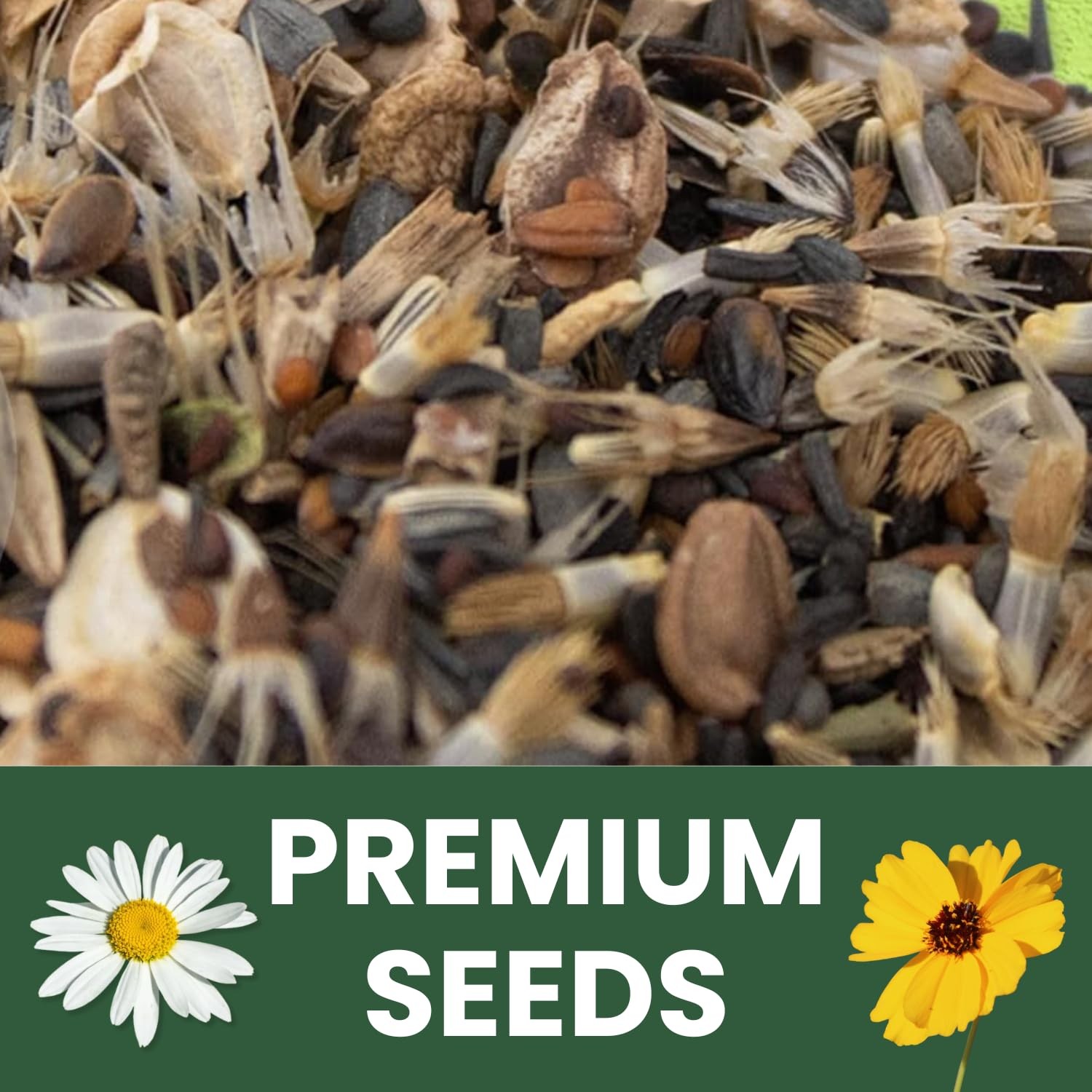 Drought Tolerant Seed Mix 90,000 Seeds for Planting 4 Ounce Pouch