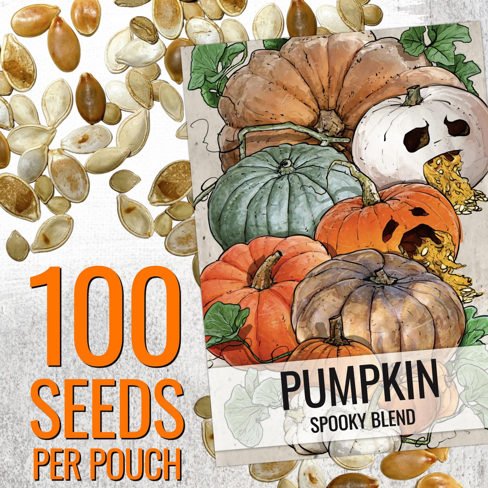 Seed Needs Pumpkin Seeds to Plant Specialty 100 Seeds, Spooky Blend (Mix)