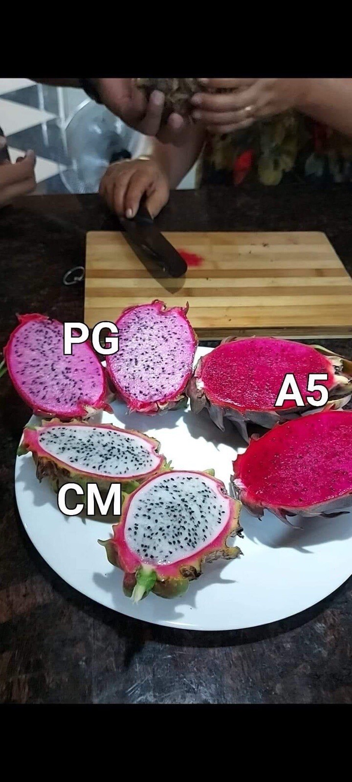 23 Dragon Fruit cuttings 8-12 inches long check The Description ￼ ￼