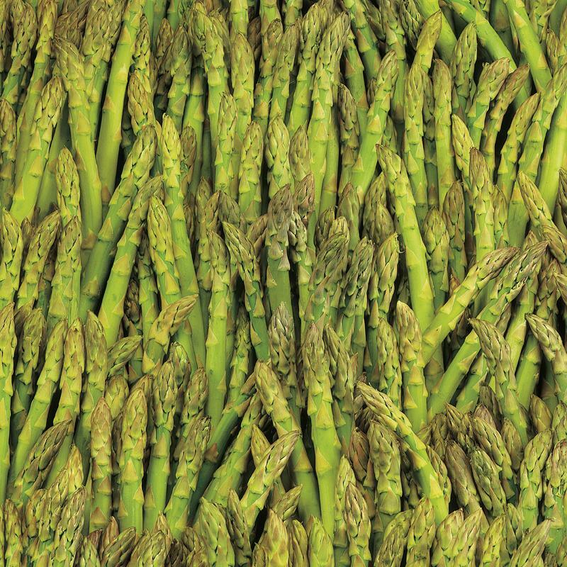 Asparagus Seeds 100+ Mary Washington Vegetable Garden NON-GMO USA FREE SHIPPING