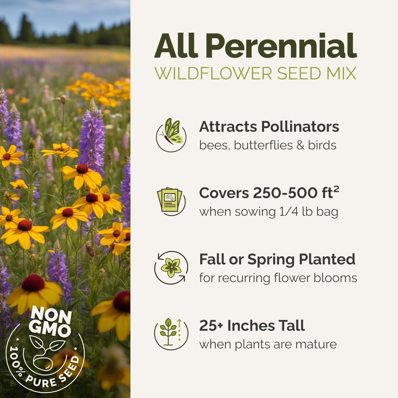Eden Brothers All Perennial Wildflower Mixed Seeds for Planting, 1/4 lb,
