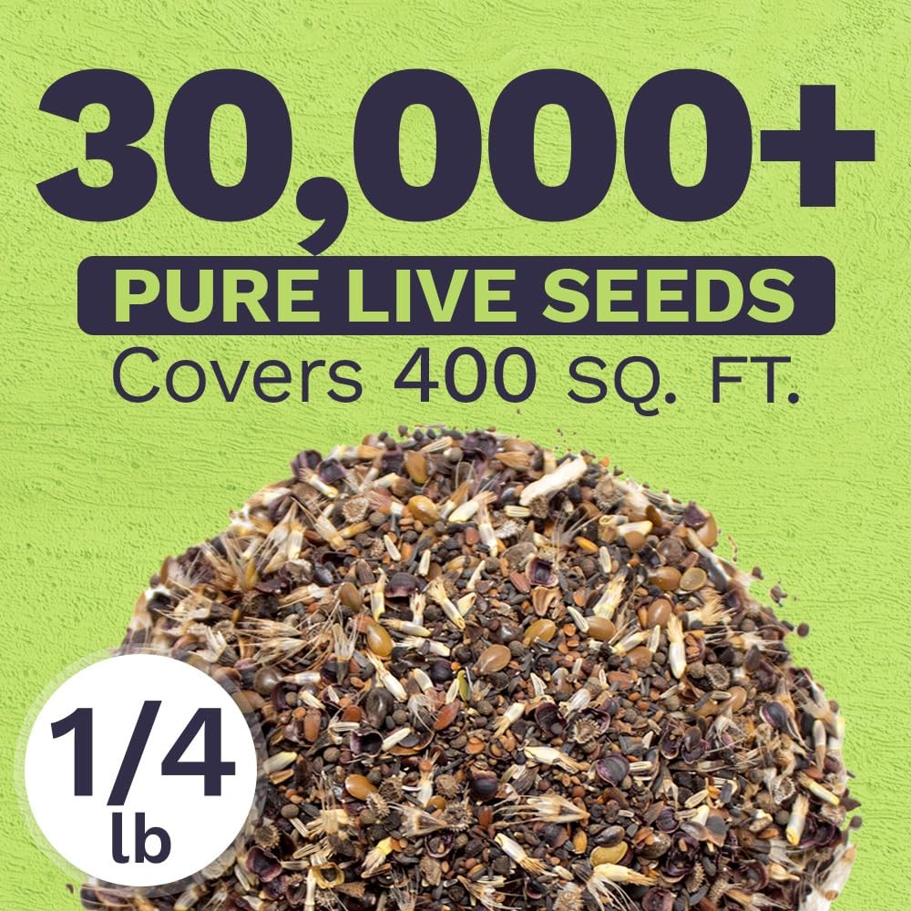 California Wildflower Mixture – Bulk 1/4 4 Ounce (Pack of 1), Multiple Colors