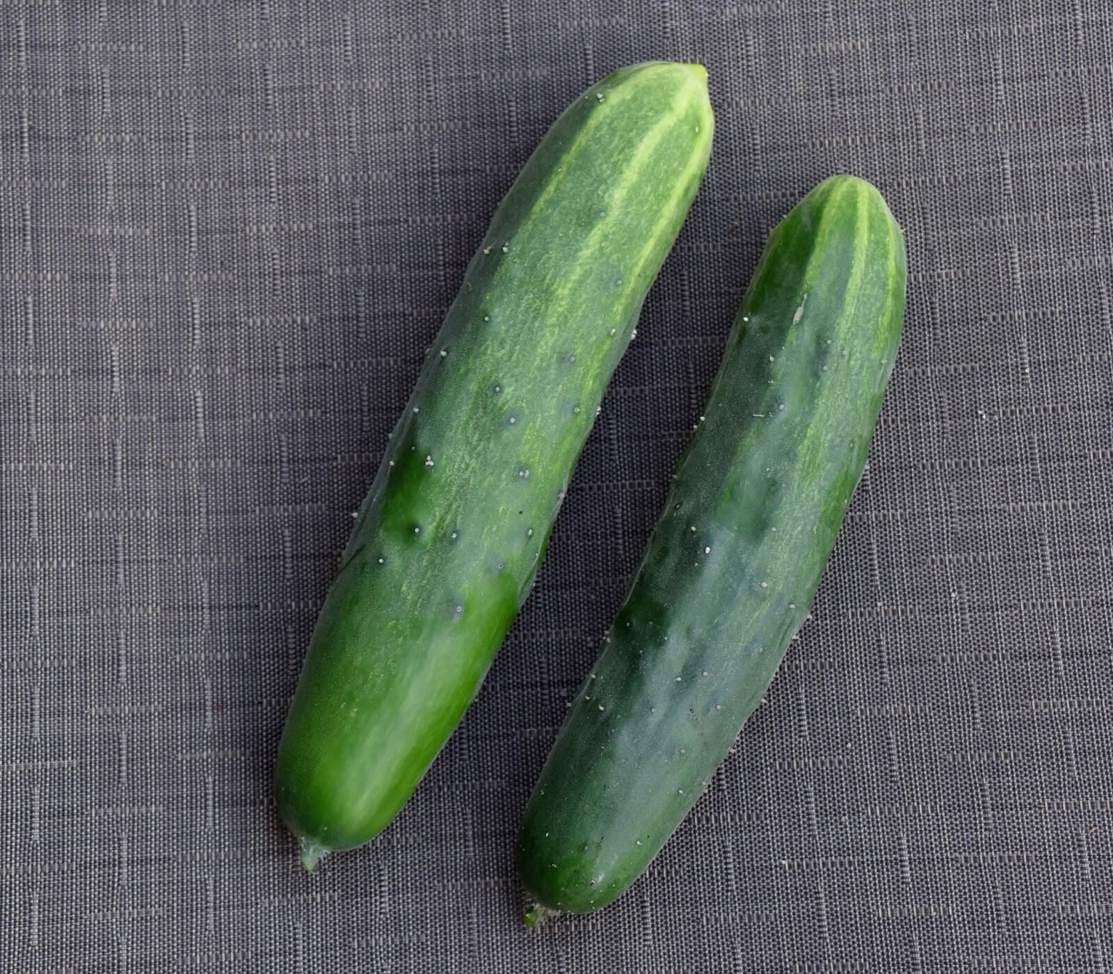 31+Marketmore 76 CUCUMBER Seeds Organic Vegetable Garden Patio Container Easy