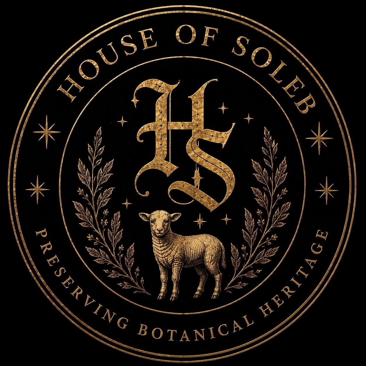 🌿 Alocasia Black Velvet G1 | House of Soleb Green Label Release 🌿