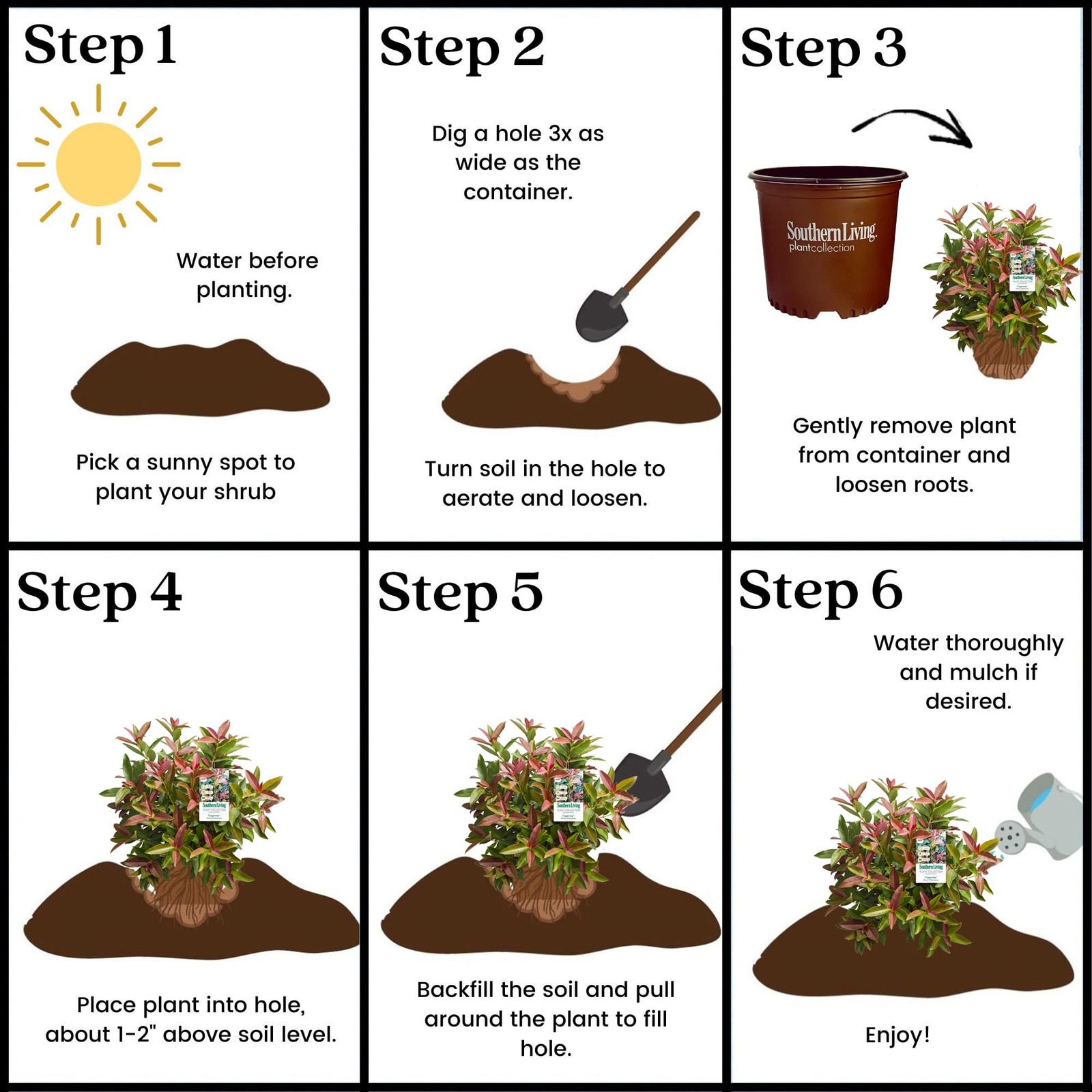 Southern Living 2 Gal. Copper Top Viburnum Shrub