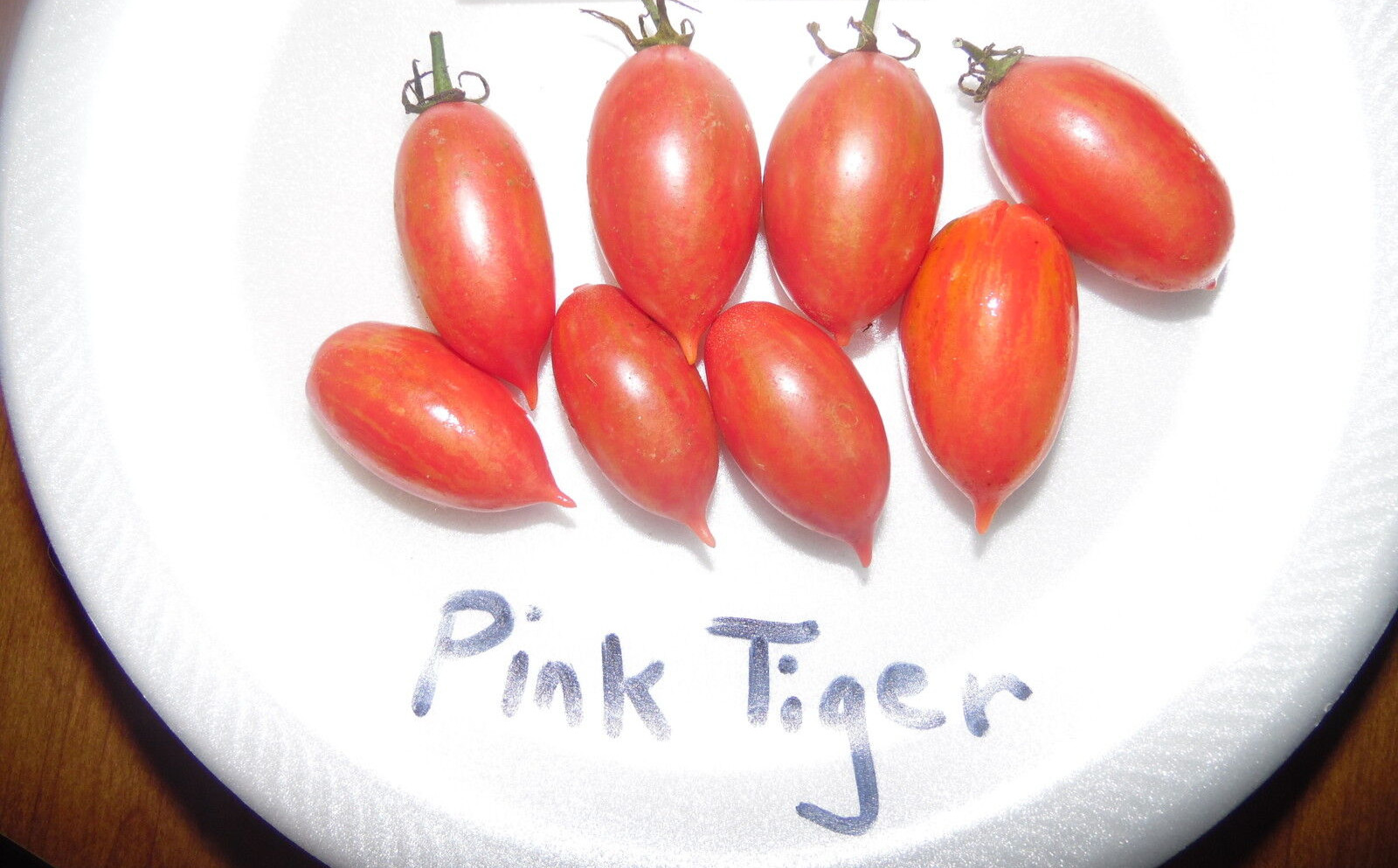 Pink Tiger Tomato Seeds! Comb. S/H See our Store