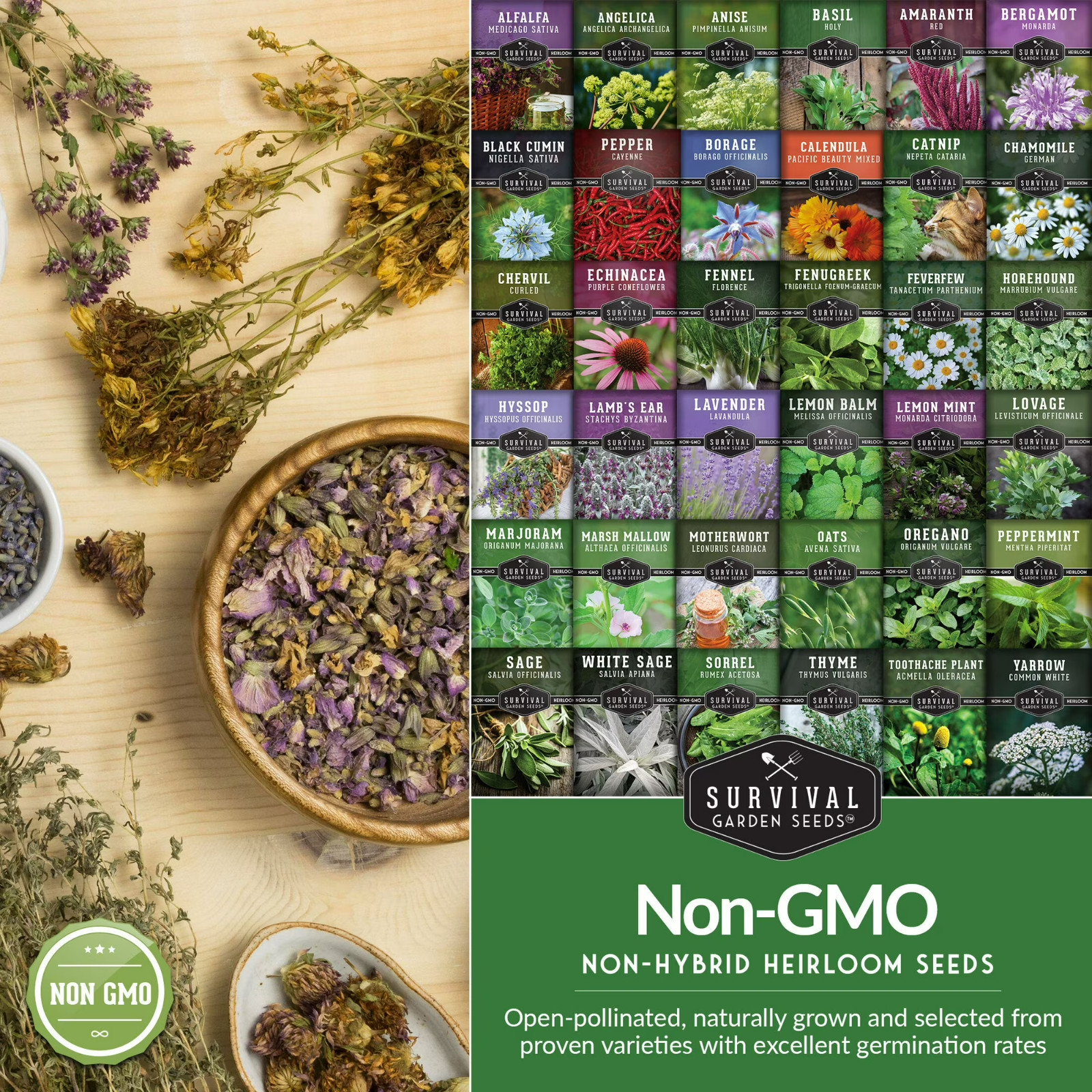 Herb Seeds 32 Medicinal Herbs and Tea Variety Pack – Annual & Perennial Herb …