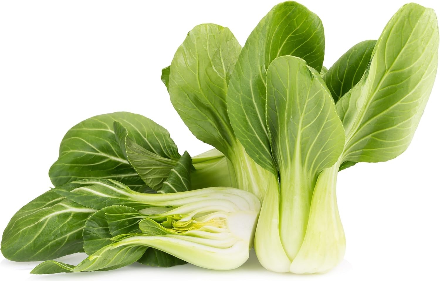 Pet-Friendly 1000 Count Baby Bok Choy Seeds – Heirloom Non-GMO for Easy Growing