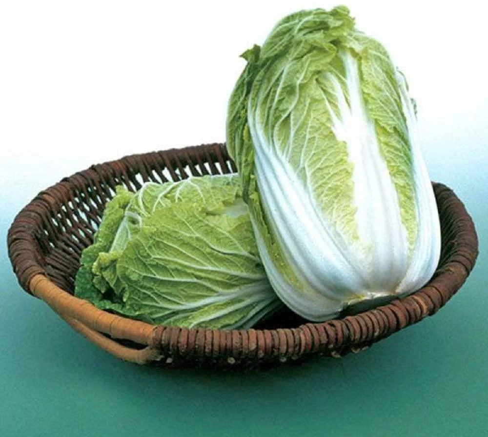 Chinese Michihili Napa Cabbage Seeds Heirloom Non-GMO Asian Vegetable