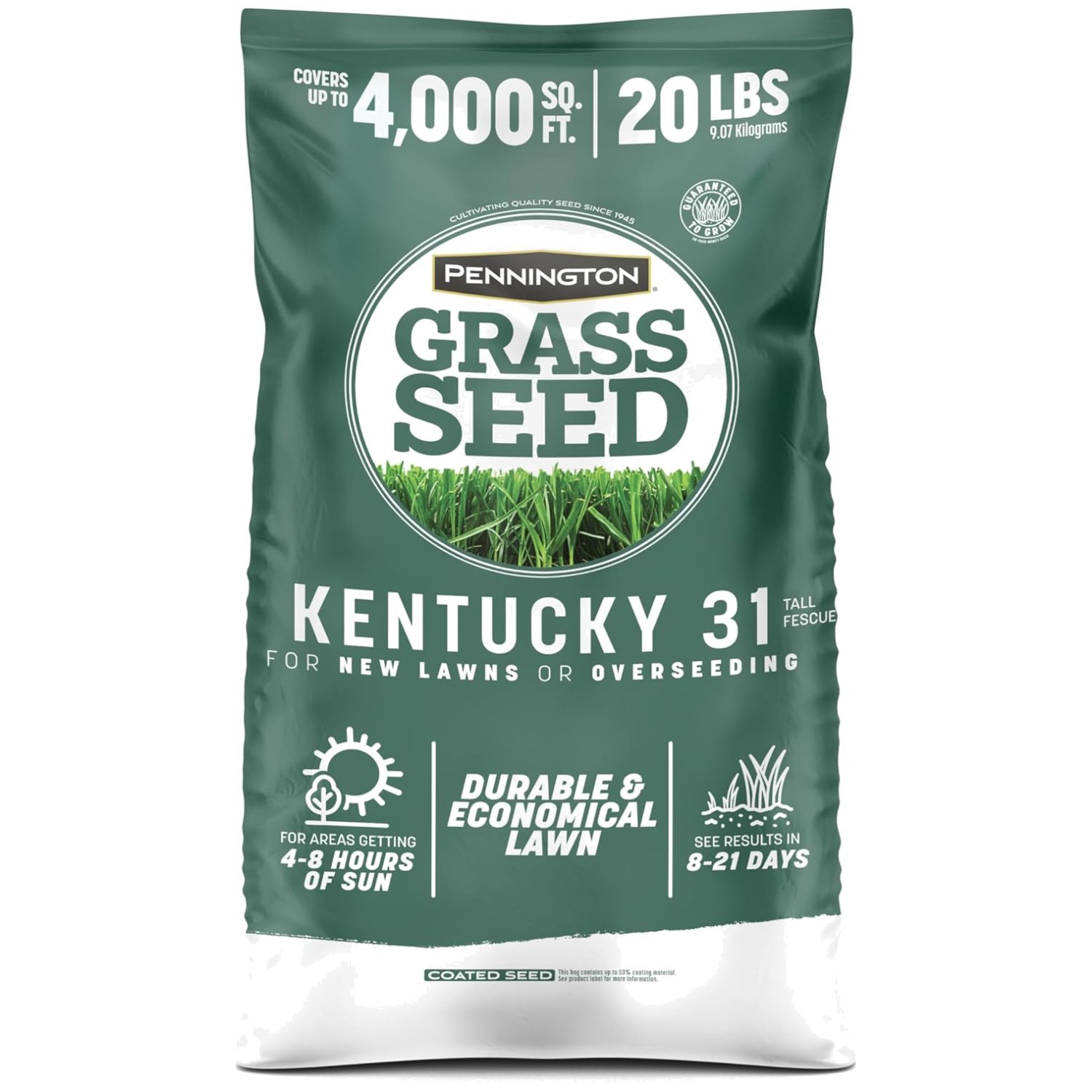 Economical Kentucky 31 Grass Seed for Low-Maintenance Lawns