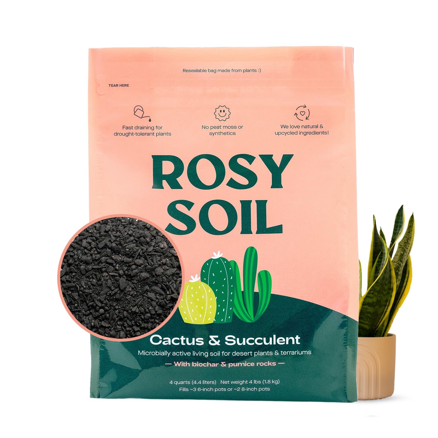 Rosy Soil Cactus & Succulent Potting Mix, 4 Quarts | Organic Succulent Potting S