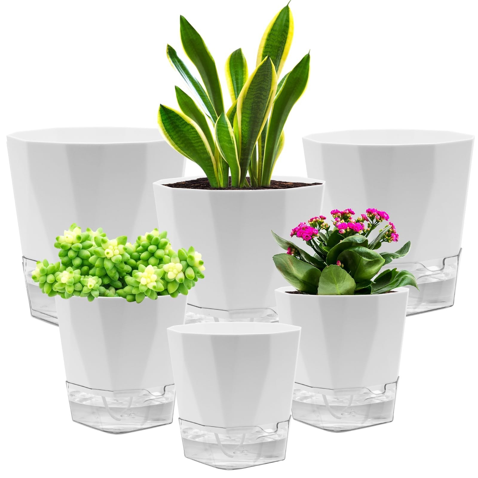 6 Pack Self Watering Plant Pot, 6.6/5 Inch Plastic Self Watering Pots for Ind…