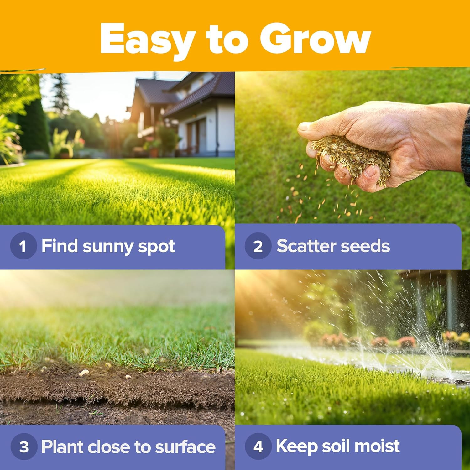 Bulk Wildflower Seeds Mix – 63,200+ Non-GMO Perennial Butterfly & Pollinator