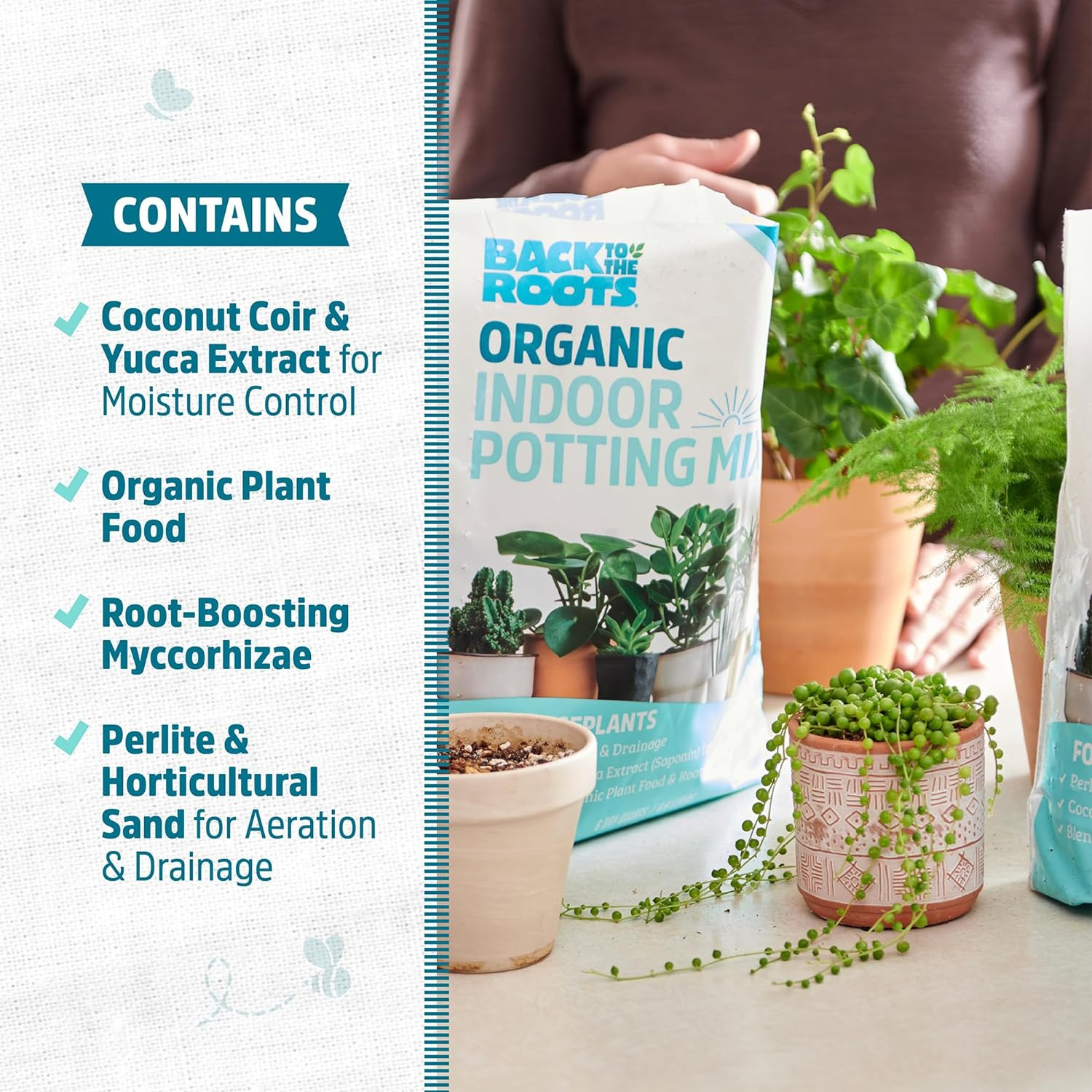 Organic Indoor Potting Mix (6 Quart) for Healthy Houseplants, USA Made