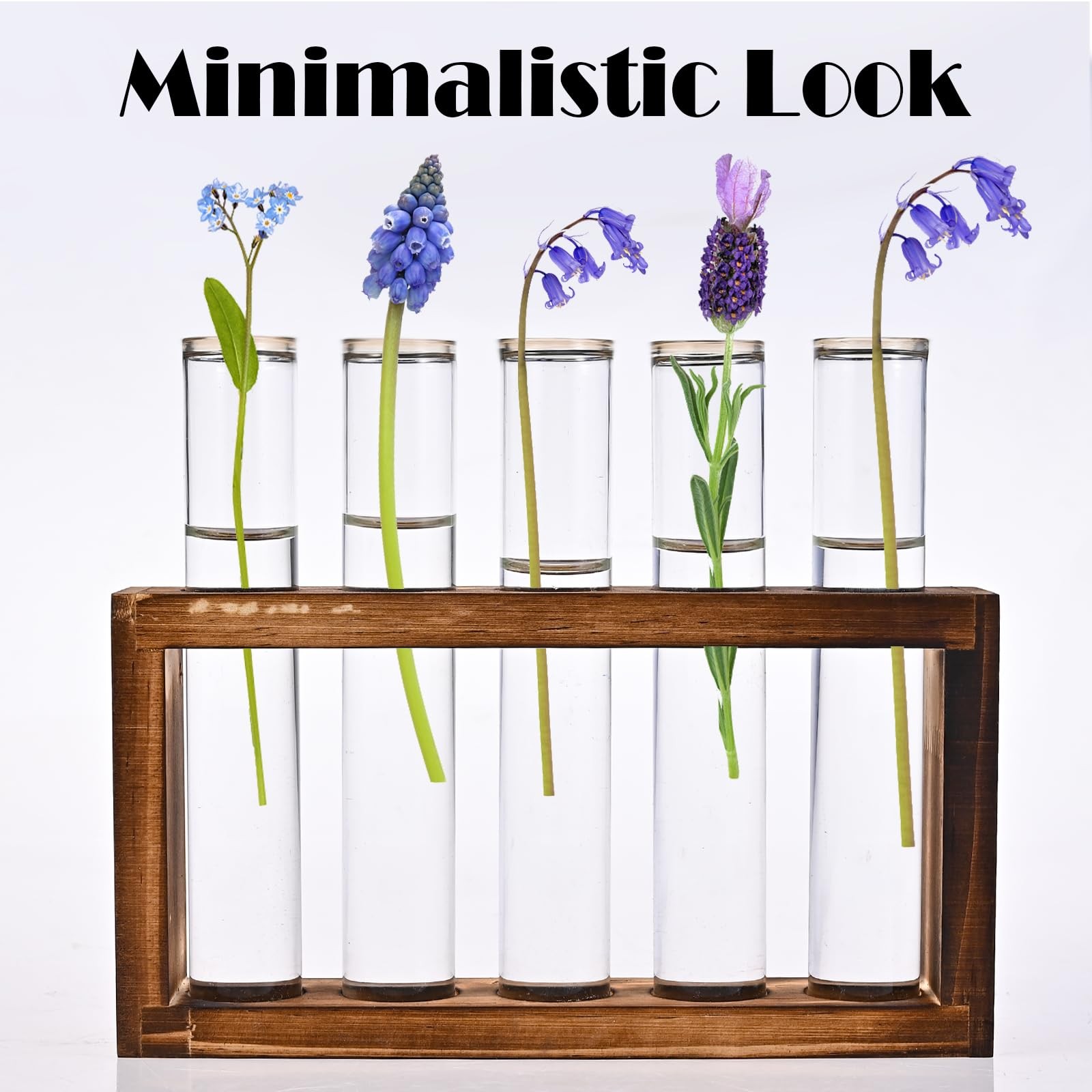 Tigvio Desktop Glass Plant Propagation Station with 5 Test 5 Tubes, Clear