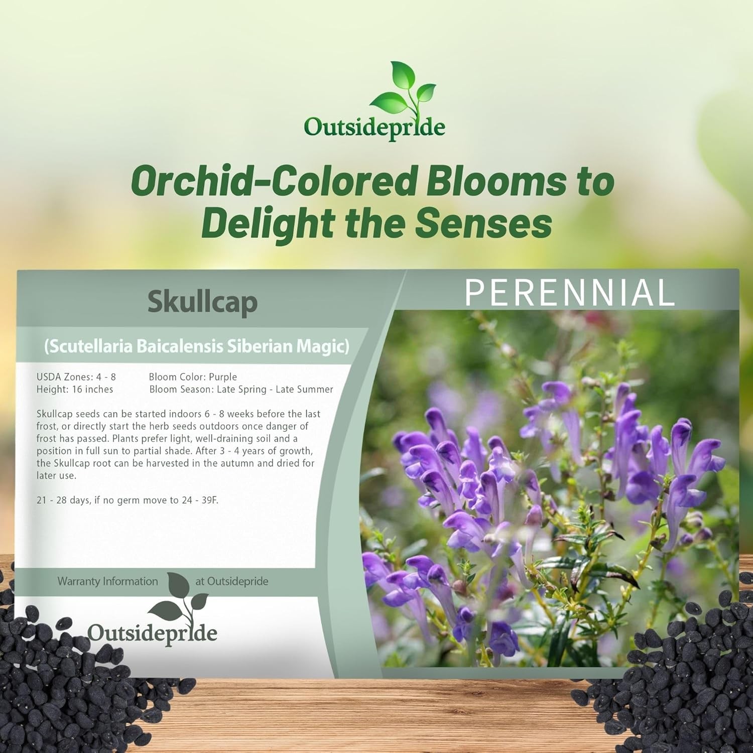 200 Seeds Skullcap Seeds – Baical Skullcap Herb Seed
