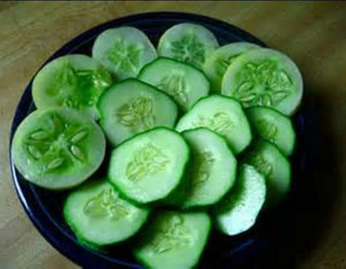 Spacemaster Cucumber Seeds HEIRLOOM – NON GMO Fresh Seeds for Your Garden