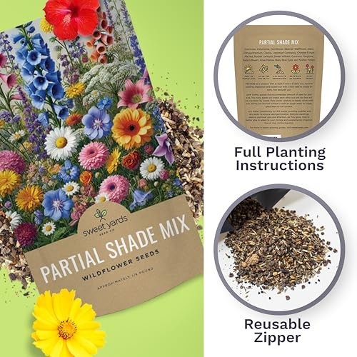 Bulk Wildflower Seeds Mix for Partial Shade – 1/4 lb, 30,000+ Open Pollinated