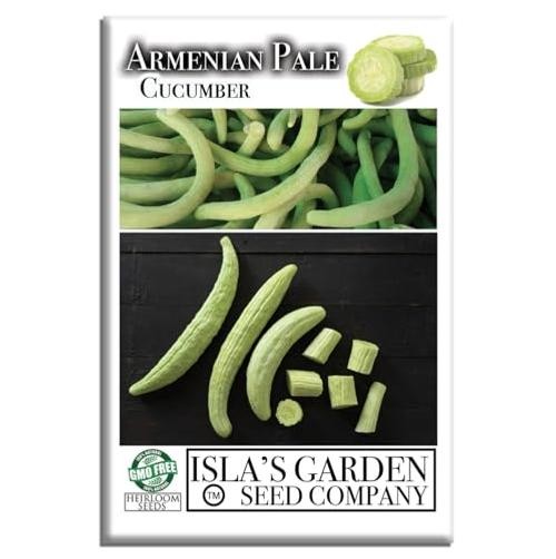 Armenian Pale Green Cucumber Seeds (Cucumis sativus) – 100+ Non-GMO & Heirloom