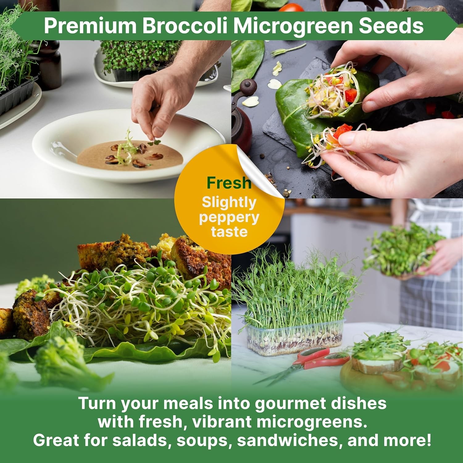 Broccoli Sprouting & Microgreens Seeds – 32,500 Non-GMO Heirloom