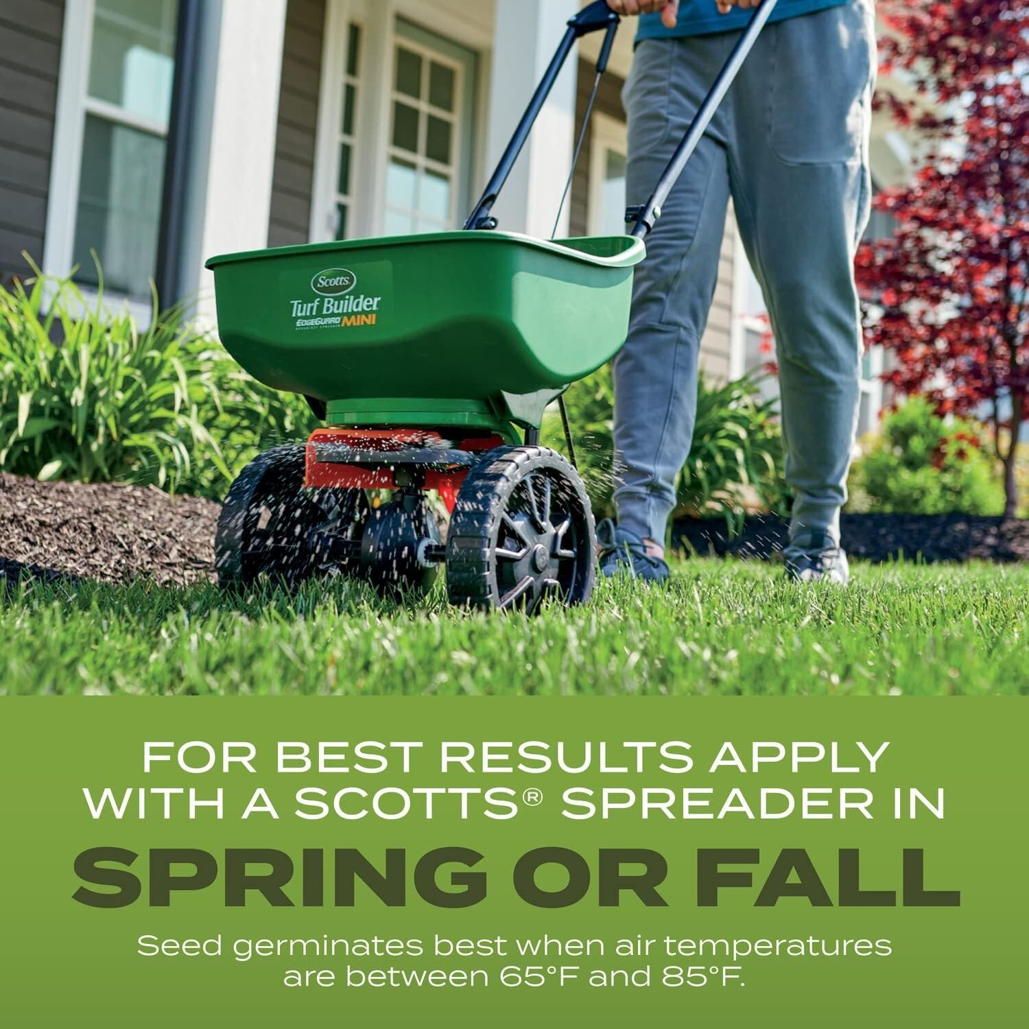 Turf Builder Grass Seed Tall Fescue Mix with Fertilizer and Soil Improver, Re…