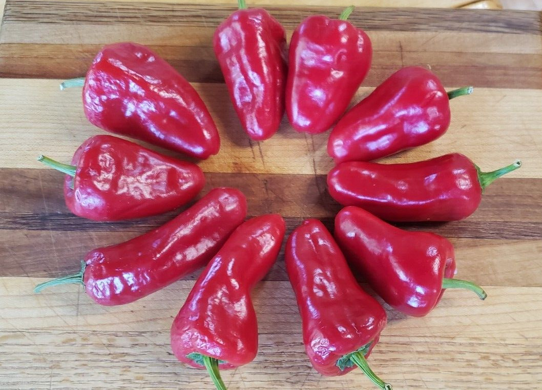 Leutschauer Paprika Pepper (25 Seeds) Free Shipping, great for paprika!