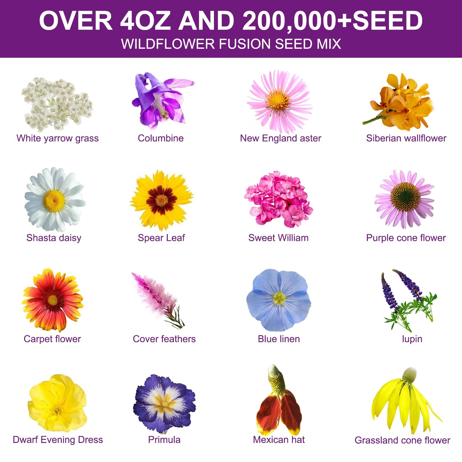 200,000+ Wildflower Seeds [4oz] 16 Variety 16 Perennial Mix, green