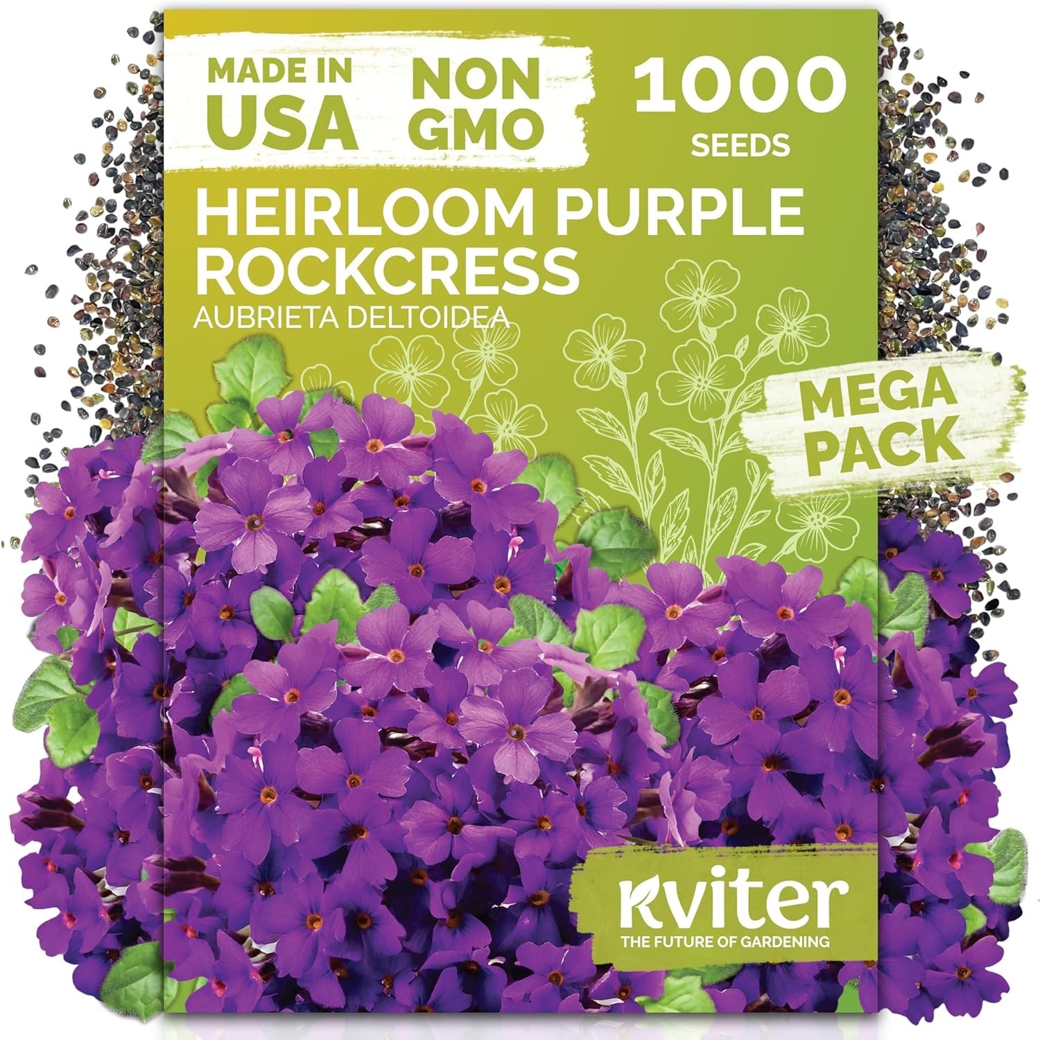 High Germination Aubrieta Seeds – 1,000 Count Organic Ground Cover Flowers
