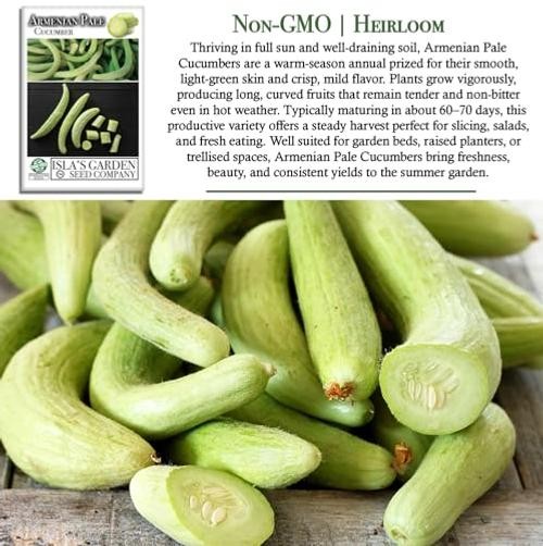 Armenian Pale Green Cucumber Seeds (Cucumis sativus) – 100+ Non-GMO & Heirloom