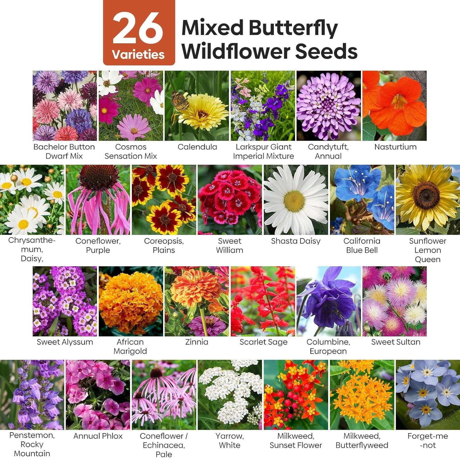 26 Varieties Wildflower Seeds Bulk – 200,000+ High Germination Seeds, 4 Ounce