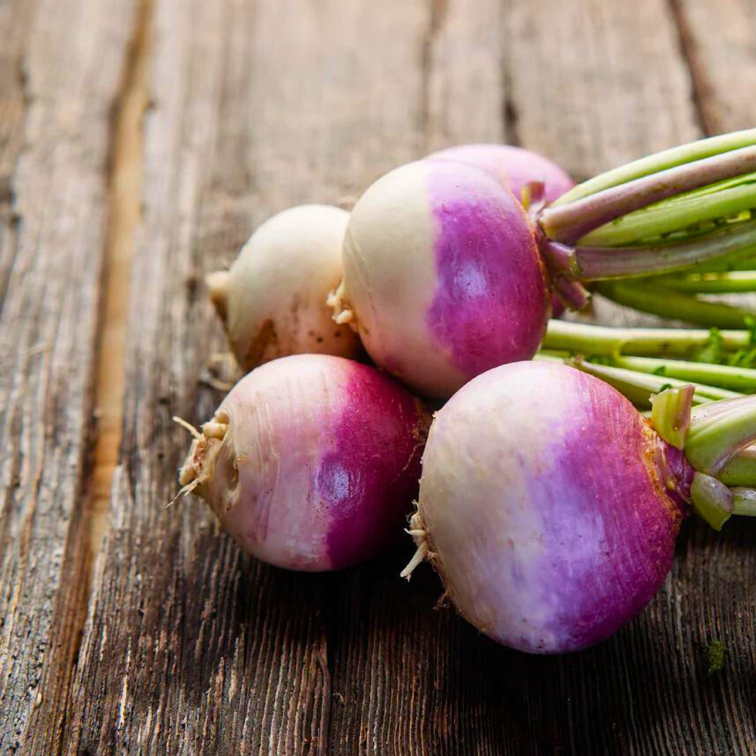 Fresh Purple Top Turnip Seeds | Heirloom Non-GMO | Fresh Vegetable Seeds