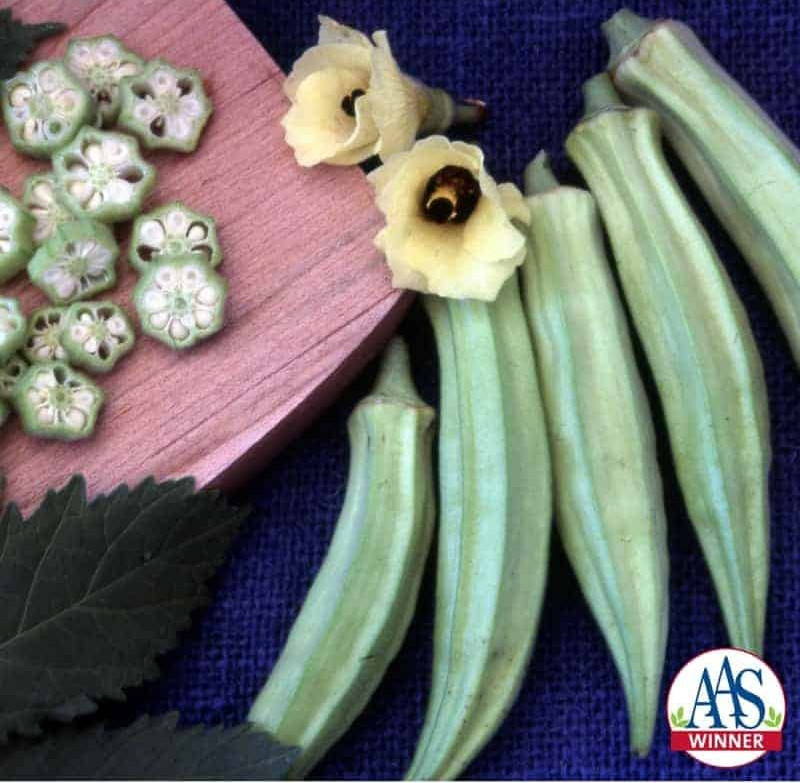 50+ BLONDY OKRA SEEDS — AAS WINNER — RARE