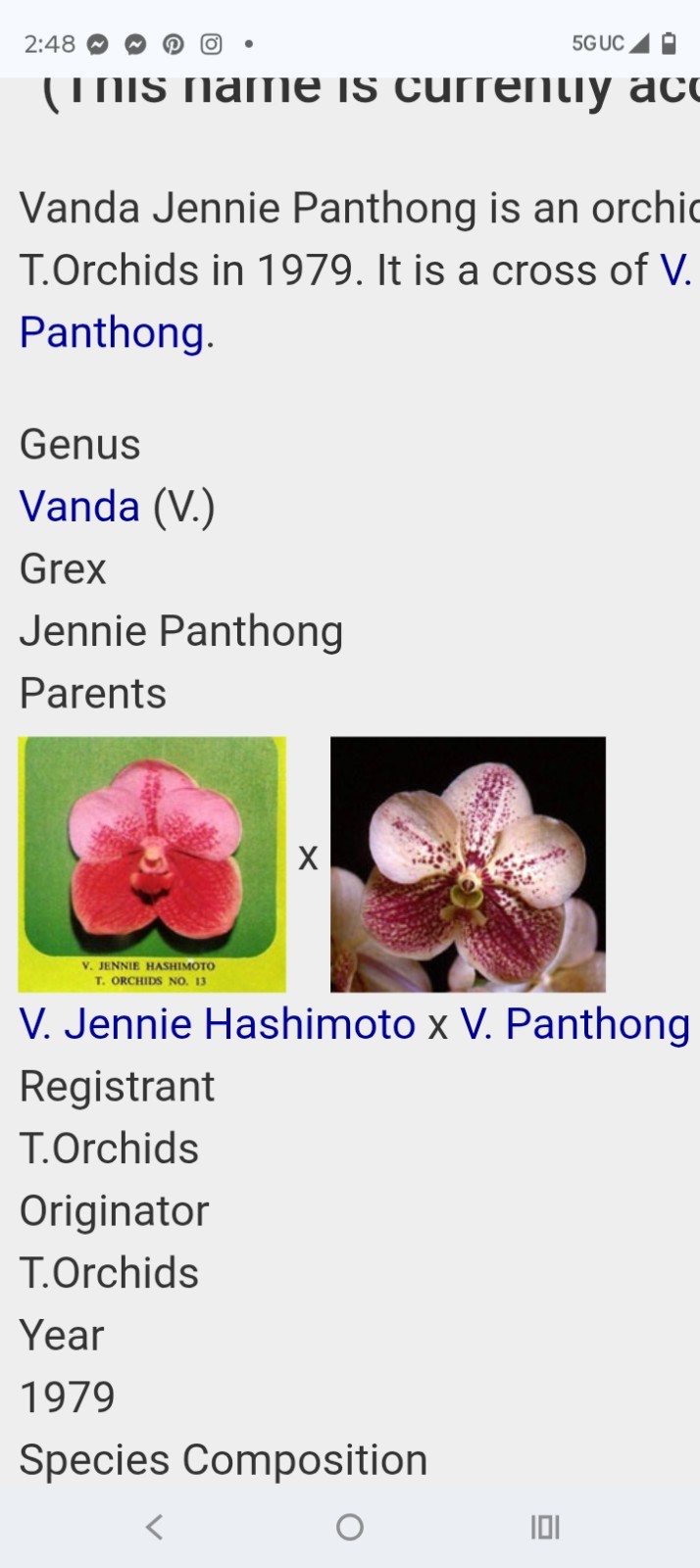 Vanda Orchid – Jennie Panthong