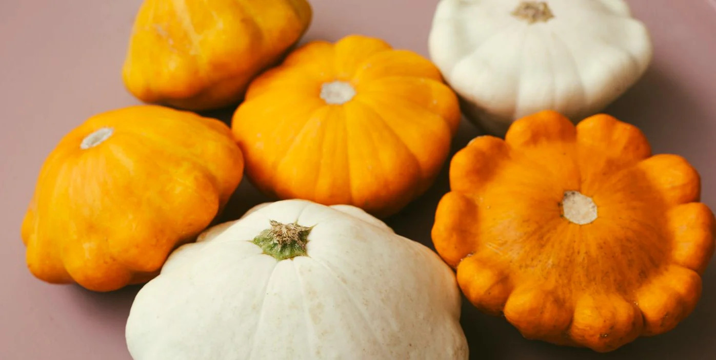 Orange Patty Pan (Bush Scallop Squash) Seeds – For 2025 Planting Heirloom Bush