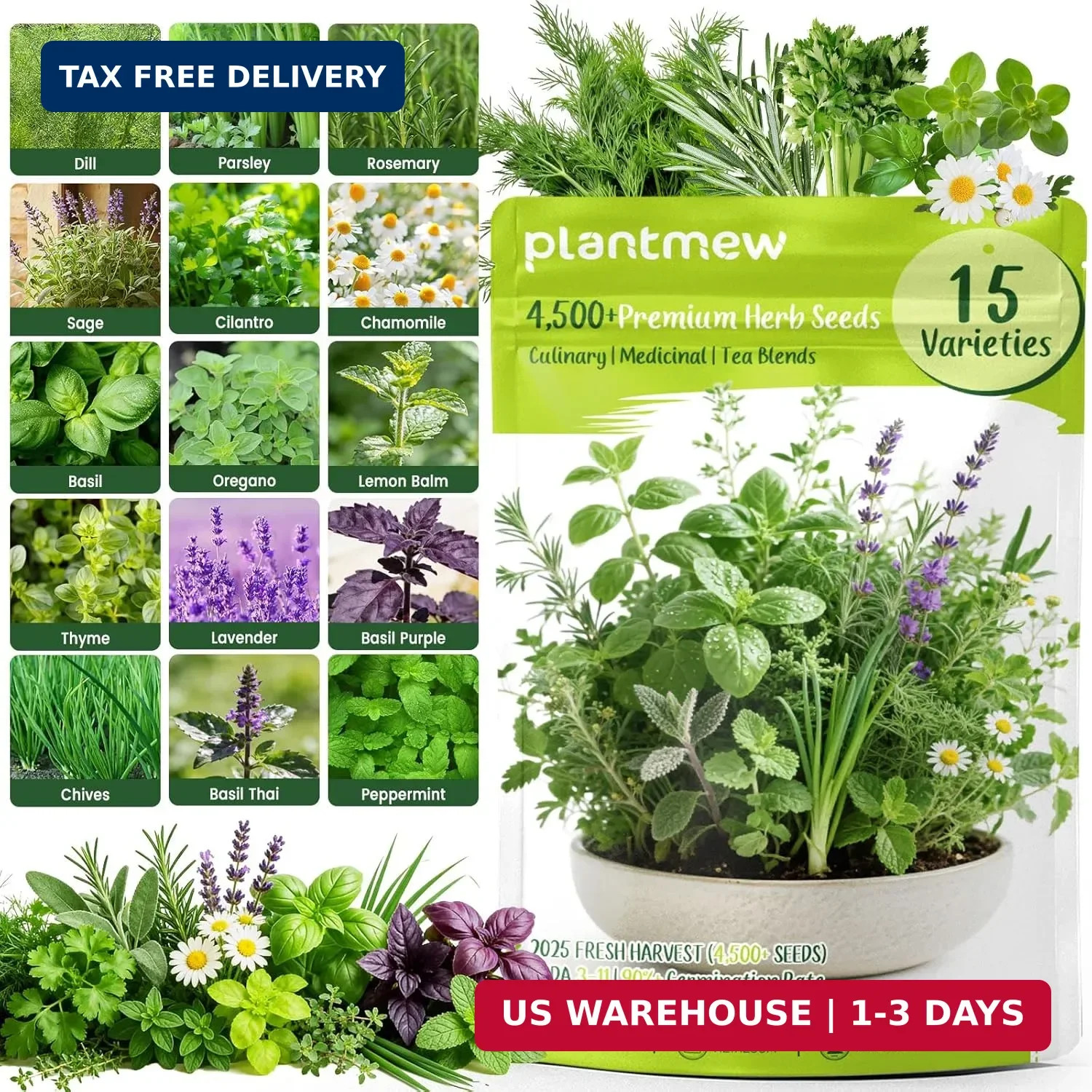 Herb Seeds 15-Pack – 4,500+ Non-GMO Heirloom Seeds for Planting – Indoor & Outdo