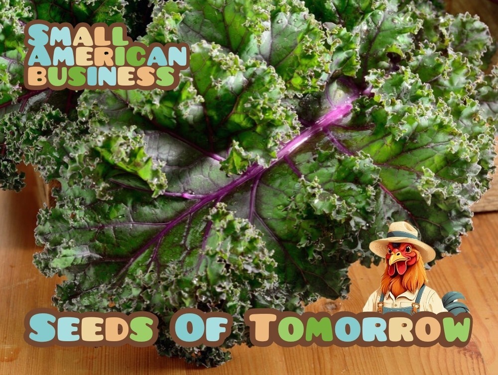 250 Organic Non-GMO Red Russian Kale Seeds – Seeds Of Tomorrow