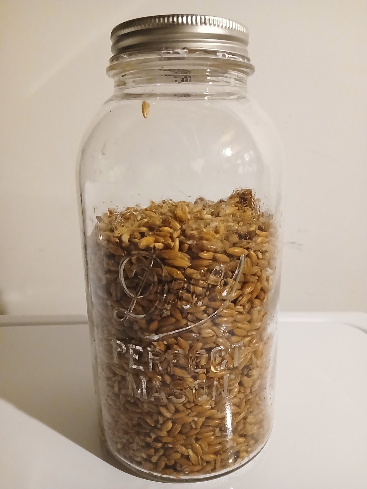 Mushroom Grain Spawn Sterilized Oats 2 lb Jar (Sterile / NOT Inoculated)