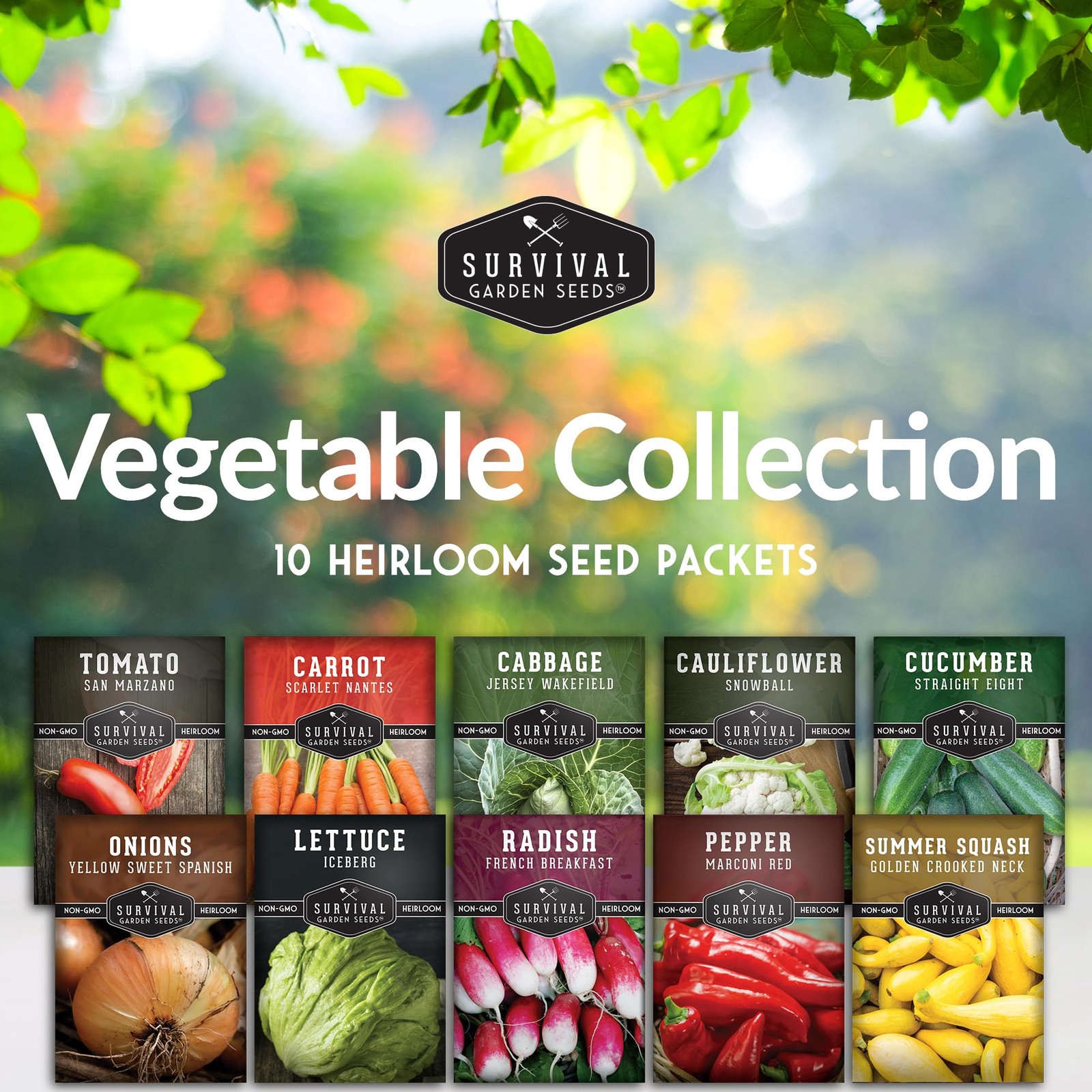 Vegetable Seeds for Planting 10 Variety Pack – Heirloom 10 Pack, Multicolor